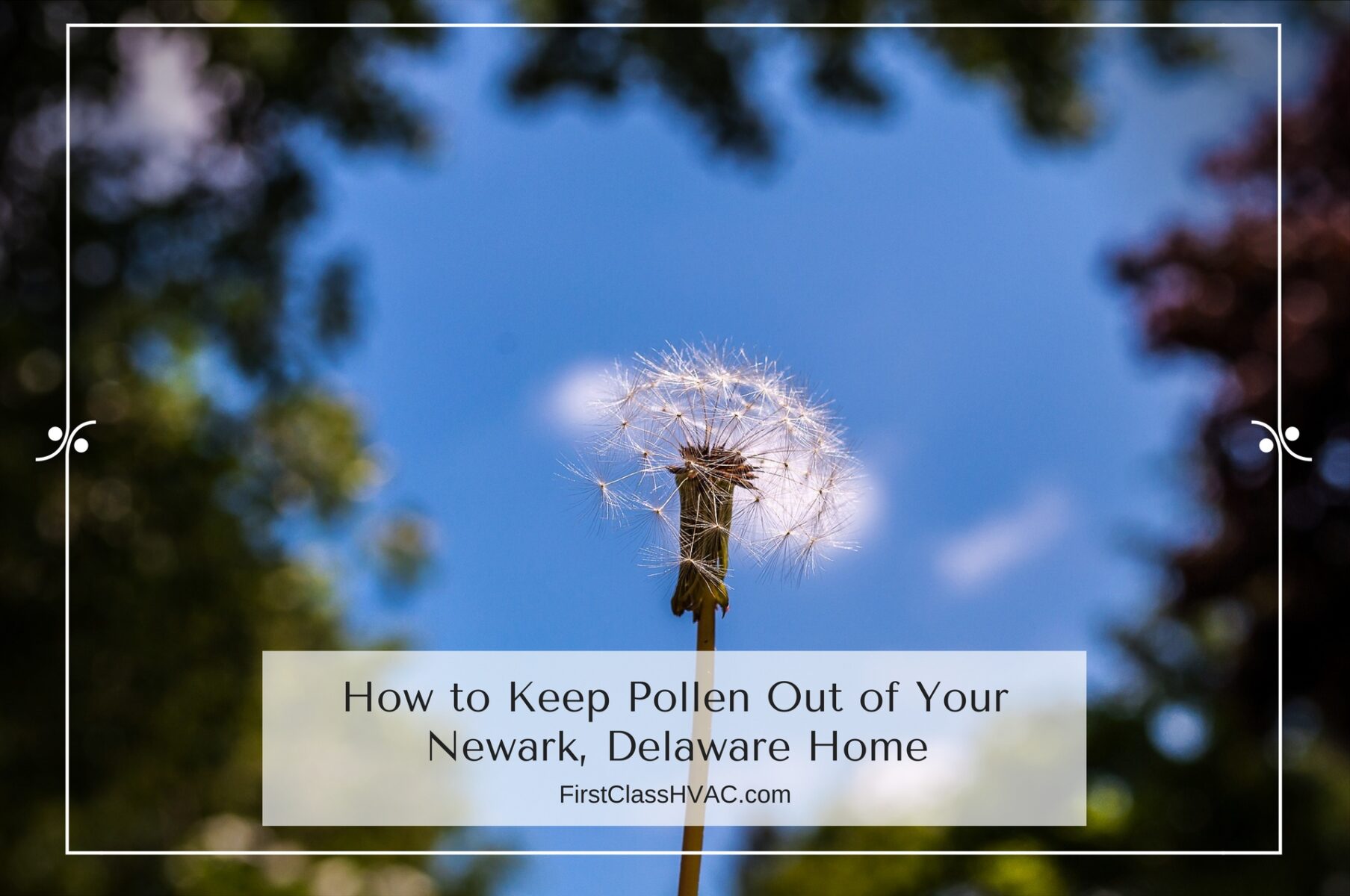 How to Keep Pollen Out of Your Newark, Delaware Home
