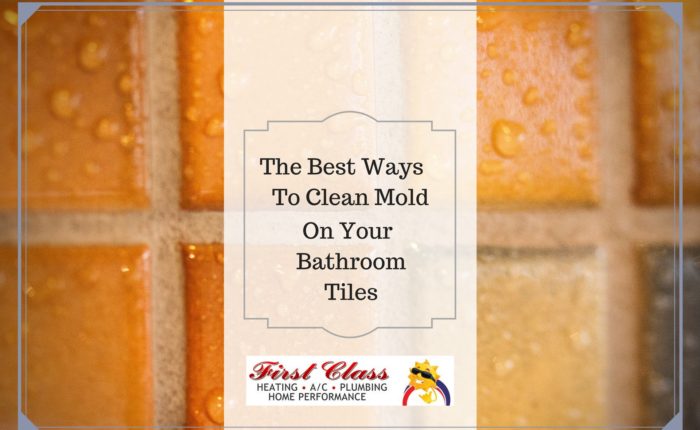 The Best Ways to Clean Mold on Your Bathroom Tiles
