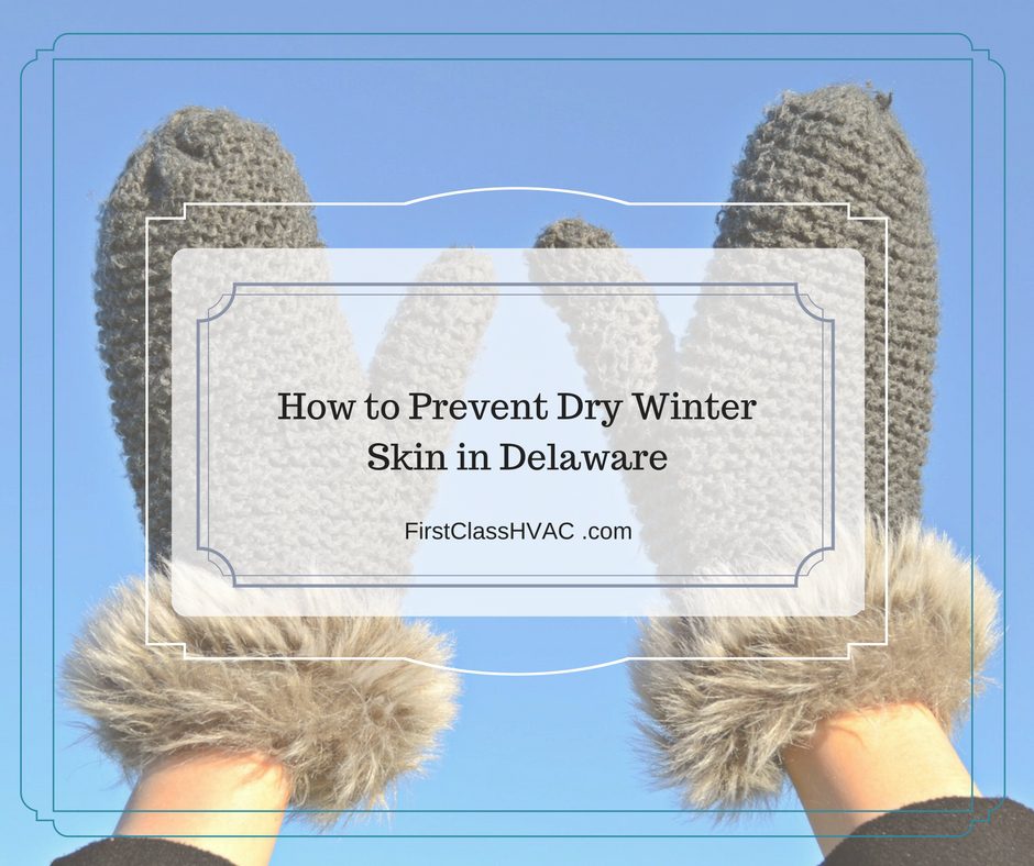 How to Prevent Dry Winter Skin in Delaware