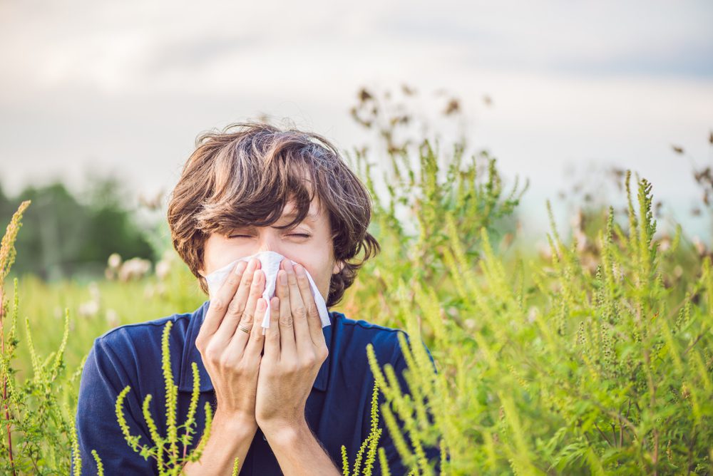 Common Allergens in Delaware and Maryland