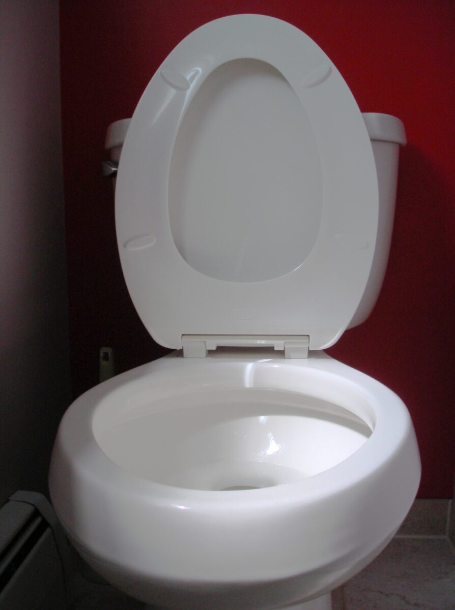 What to Do When Your Toilet is Overflowing